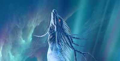 数多の龍の姿がある・・・