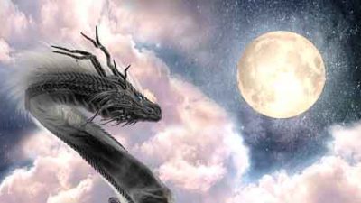 観察するべし・・・